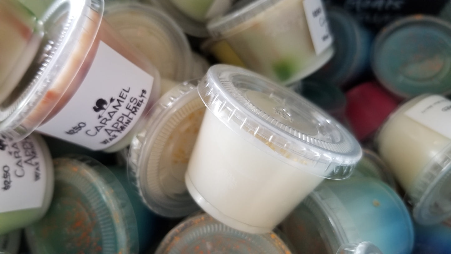 Mini Wax Melts