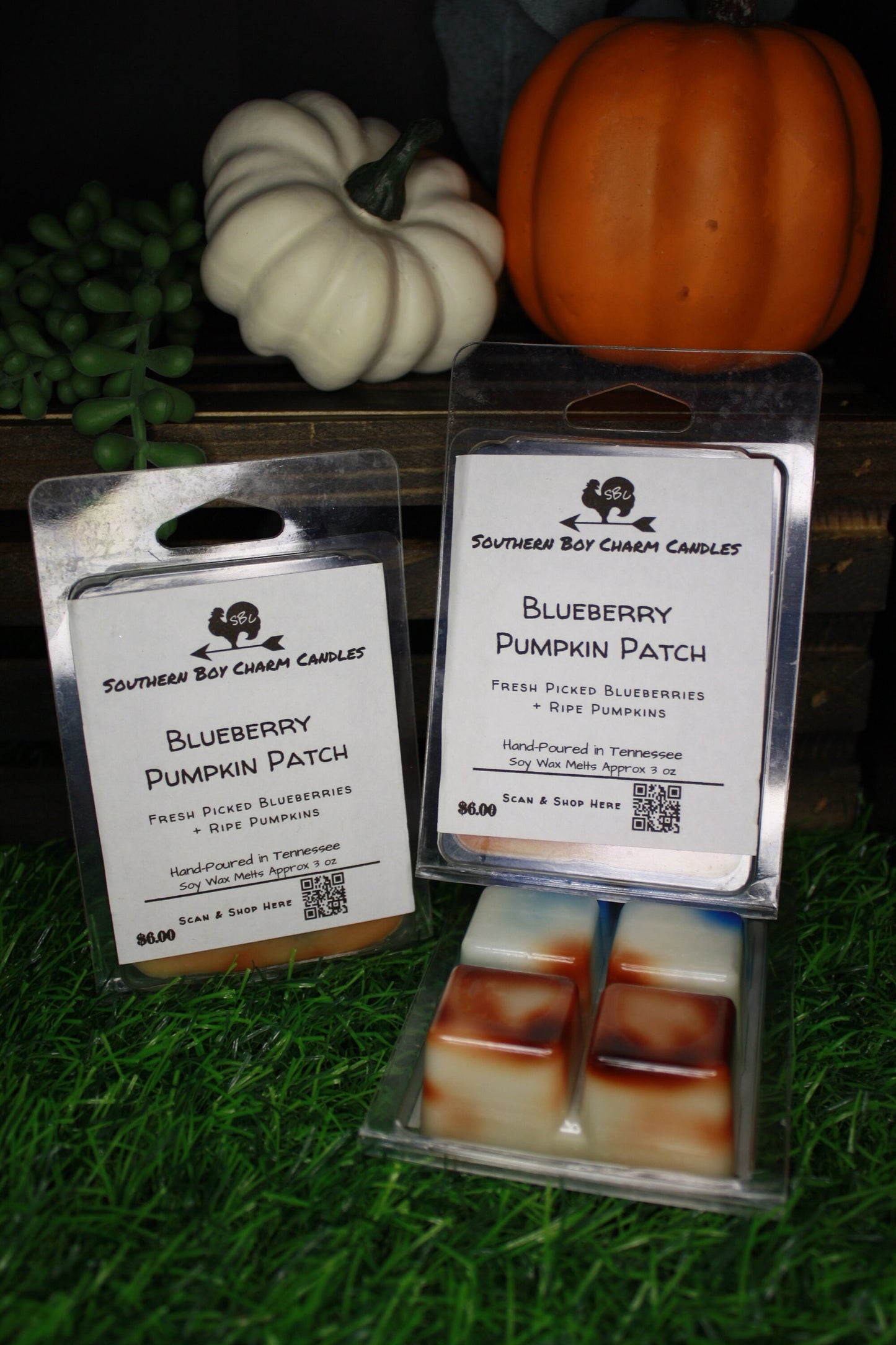 Blueberry Pumpkin Patch WAX MELTS - Fresh Picked Blueberries + Ripe Pumpkins