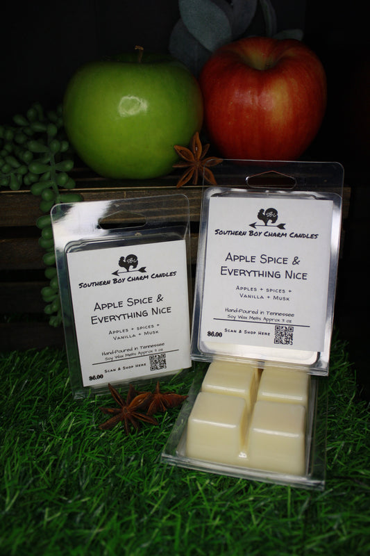 Apple Spice & Everything Nice WAX MELTS