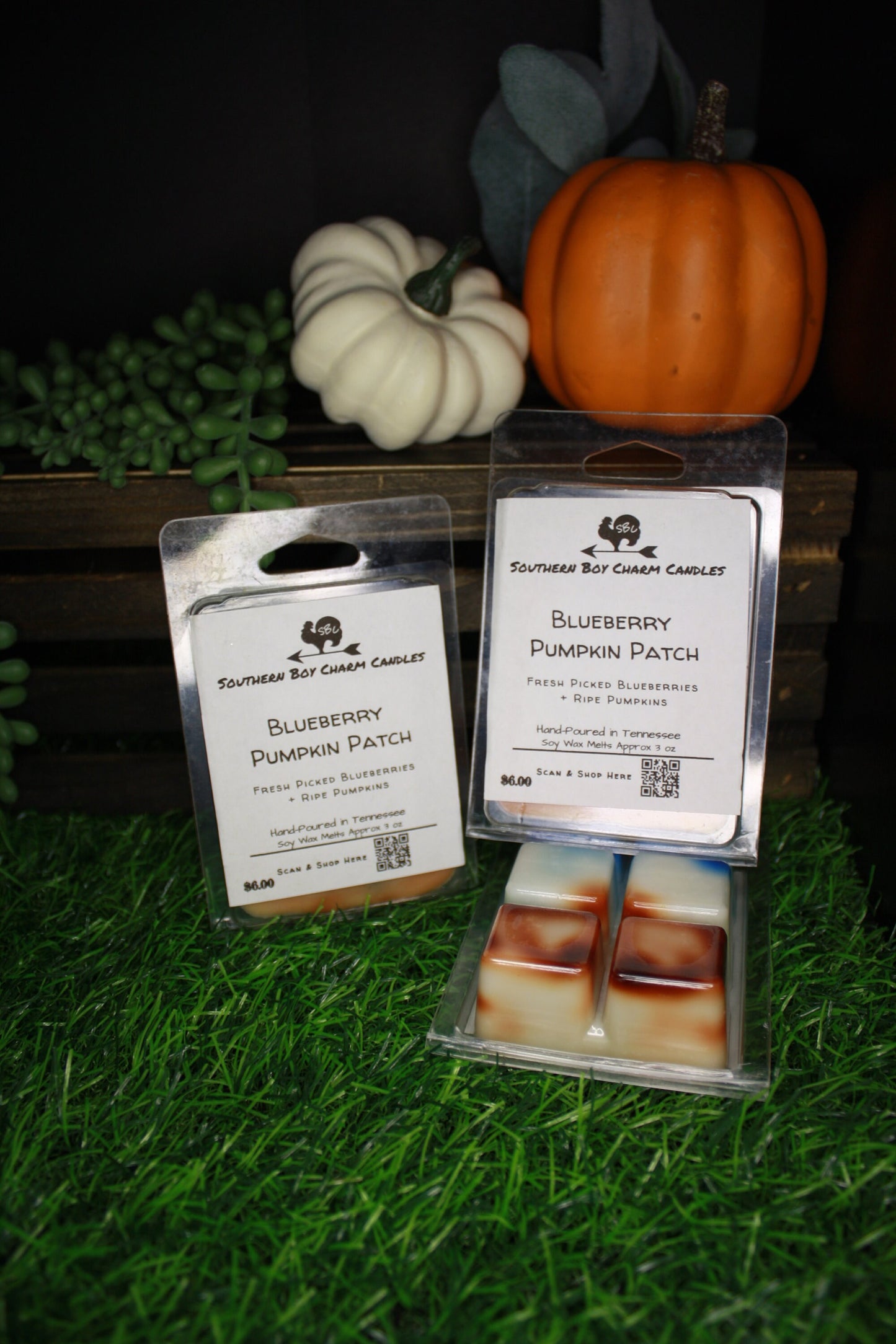Blueberry Pumpkin Patch WAX MELTS - Fresh Picked Blueberries + Ripe Pumpkins