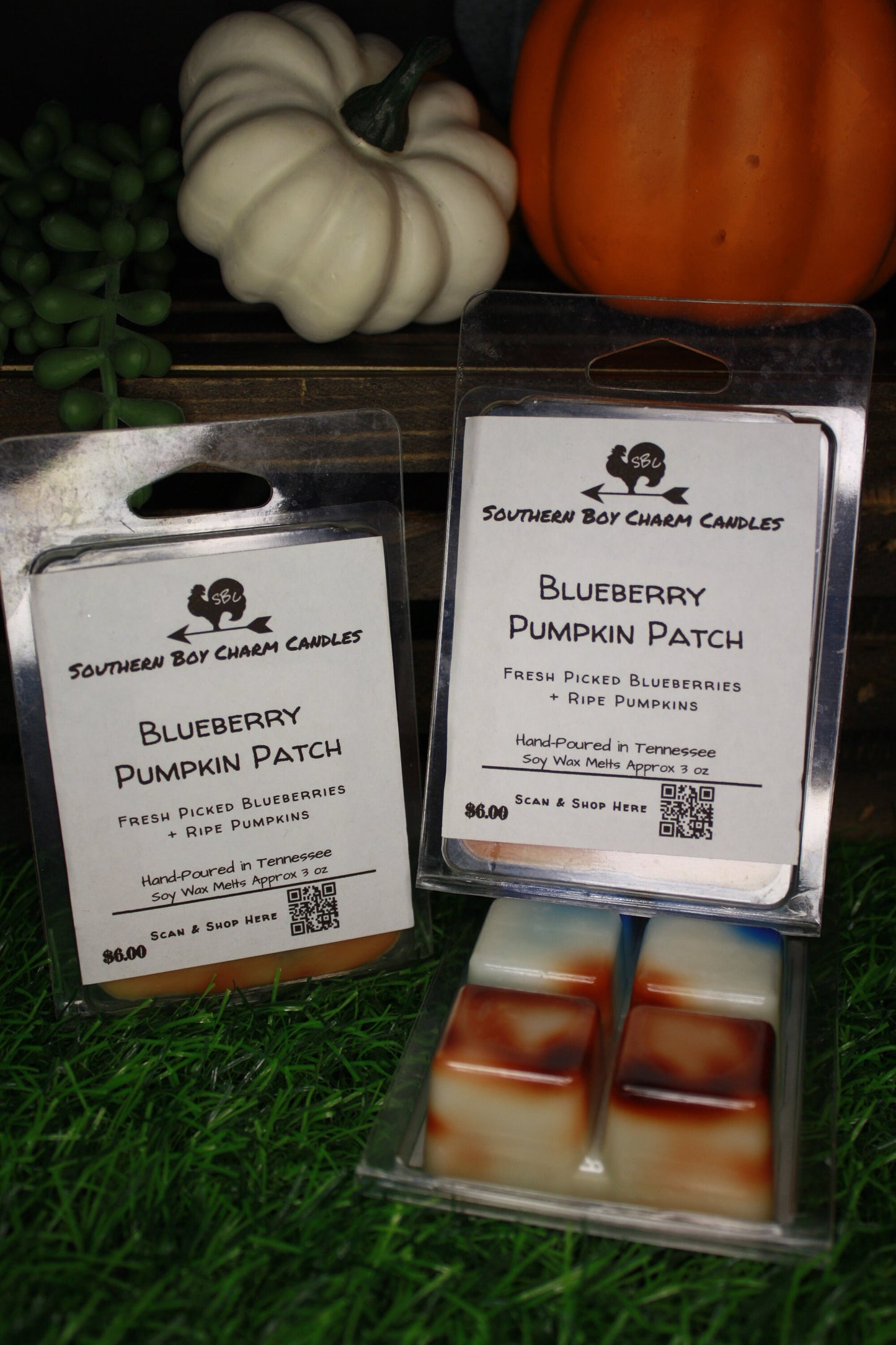 Blueberry Pumpkin Patch WAX MELTS - Fresh Picked Blueberries + Ripe Pumpkins